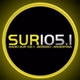 Radio Sur logo