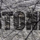 Logo de The Stone