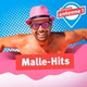 Antenne 1 - Mallehits logo