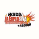 WSDS logo