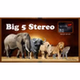 Big 5 Stereo logo