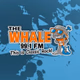 Logo de The Whale 99.1 FM - WAAL