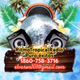 Logo de Ritmo Tropical Radio