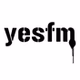 YES FM - WYSM logo