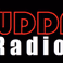 WDDF Radio logo