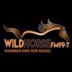 Logo de Wild Horse FM