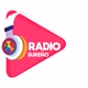 Radio DJ 105.1 fm logo