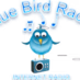 Logo de Blue Bird Radio One