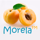 Logo de MorelaFM