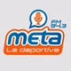 Meta FM 94.1 logo