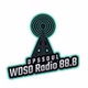DPS Radio - DPSSOUL logo