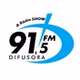 Rádio Difusora 91.5 FM logo