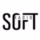 RadioSoft logo