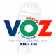 Radio La Voz del Sur Moquegua logo