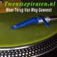 Logo de Twentsepiraten