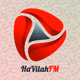 Logo de HaVilah FM