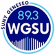 89.3 WGSU Geneseo's Voice of the Valley logo