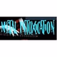 Metal Intoxication logo
