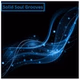Solid Soul Grooves logo
