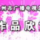 Logo de 兰州新闻综合广播
