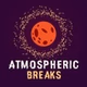 RadioSpinner - Atmospheric Breaks logo