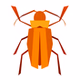 Radio Cuca logo