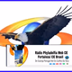 Logo de Rádio Phyladelfia Web
