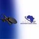 Investment Radio Africa logo