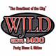 Logo de 104.1 FM WJLD - W281AB