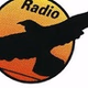 Radio Fenix 99.3 logo