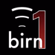 Logo de The BIRN - BIRN1
