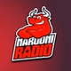 Narodni radio Tuzla logo