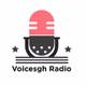Logo de Voicesgh Radio