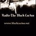 Logo de Radio The Black Cactus
