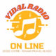 Logo de Vidal Radio