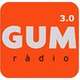 GUM FM Pirineus logo