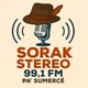 SORAK STEREO 99.1 logo