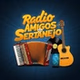 Radio Amigos do Sertanejo logo