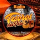 Tesoros del Perú logo