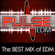 Logo de PulseEDM Radio
