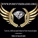 Pure Vybz Radio logo