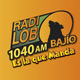 Logo de Radio Lobo Bajio - XEY