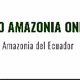 Logo de Radio Amazonia Online