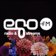 egoFM - egoRNB logo