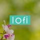 Litt Live - Lofi - Chill & Instrumental Hip-Hop Beats logo