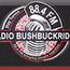 Radio Bushbuckridge logo