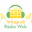 Tabapuã Rádio Web logo