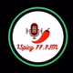 1SPICYFM logo