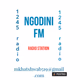 Logo de Ngodini fm