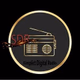 Logo de Simplict Digital Radio